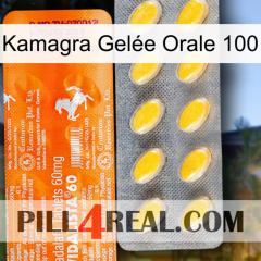 Kamagra Gelée Orale 100 new05